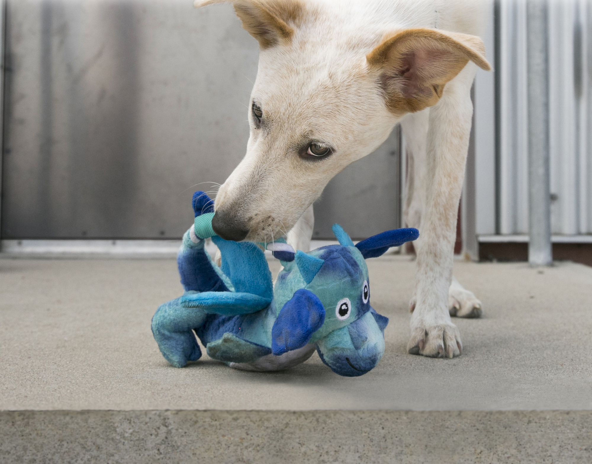 Kong® Kong® Toy Knots Dragon with rope Multiple colours