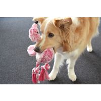 Flamingo Jouet Andes Flamant avec corde Rose
