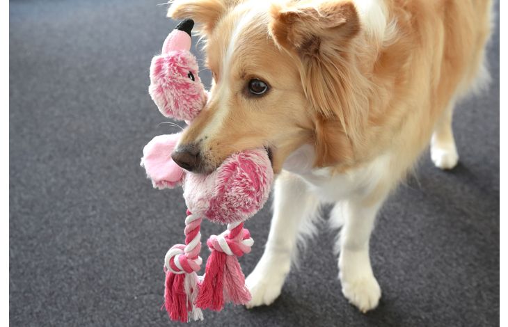 Flamingo Jouet Andes Flamant avec corde Rose