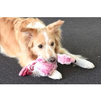 Flamingo Jouet Andes Flamant avec corde Rose