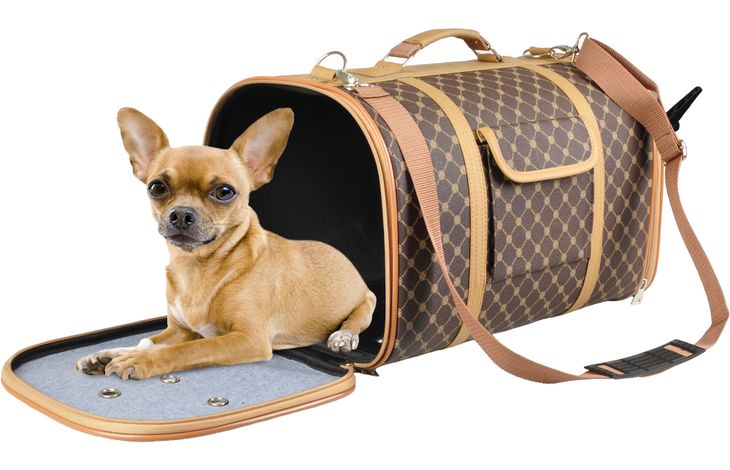 Flamingo Bolso de transporte Chloe 2 Marrón