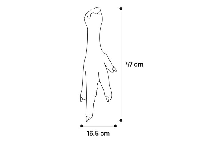 Flamingo Speelgoed Nika Kippenpoot Oranje