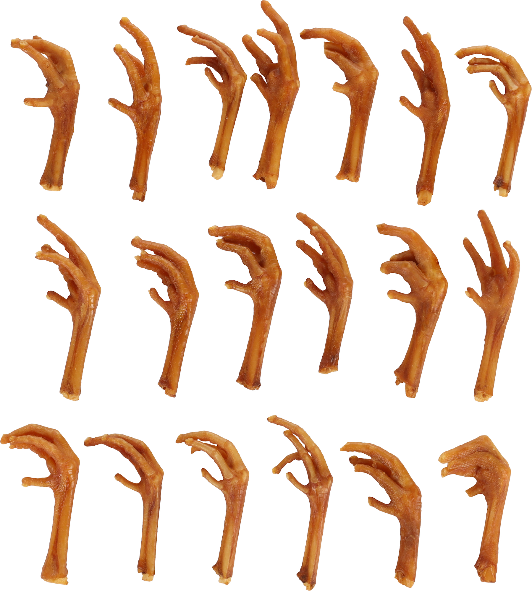 Flamingo Friandises Nature Patte de poulet