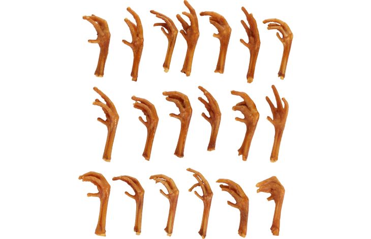 Flamingo Snacks Nature Chicken foot