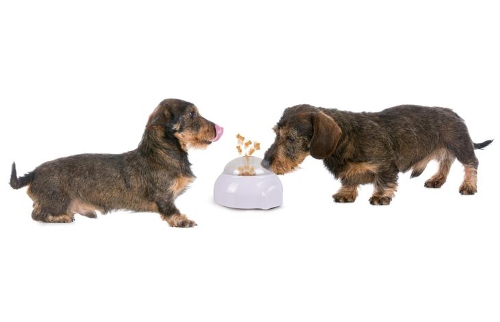 Flamingo Toy Poppy  White