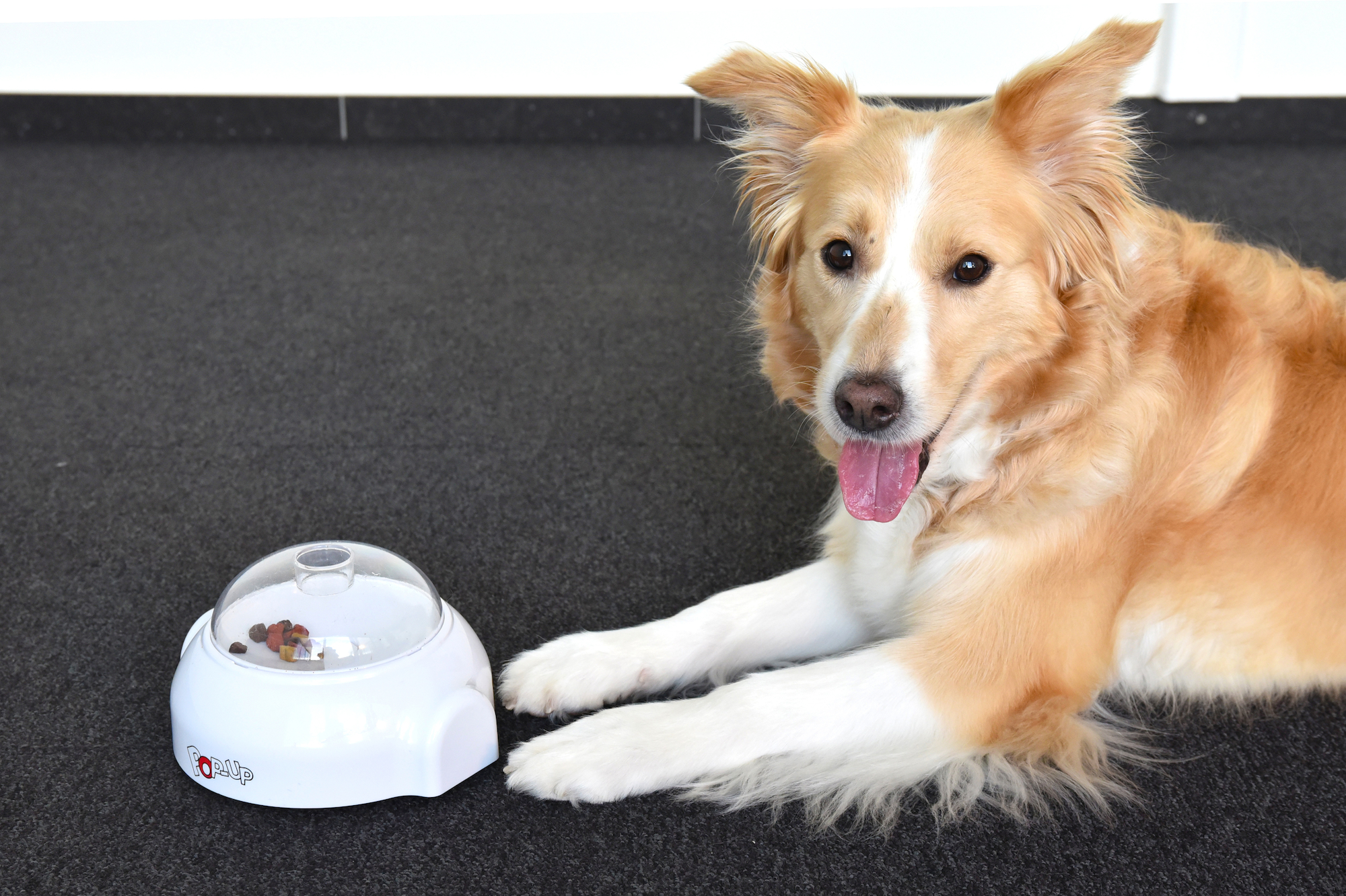 Flamingo Toy Poppy  White