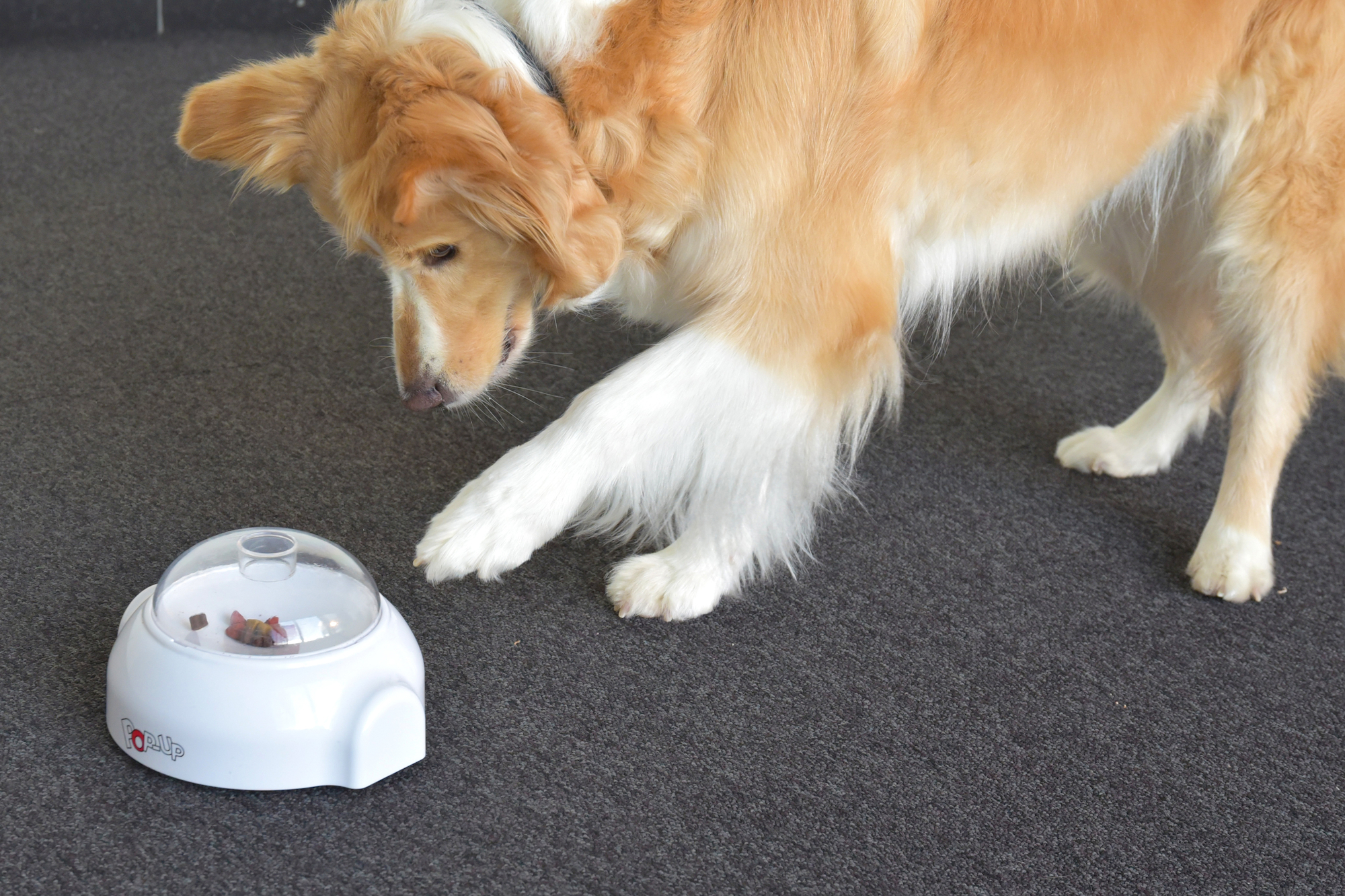 Flamingo Toy Poppy  White