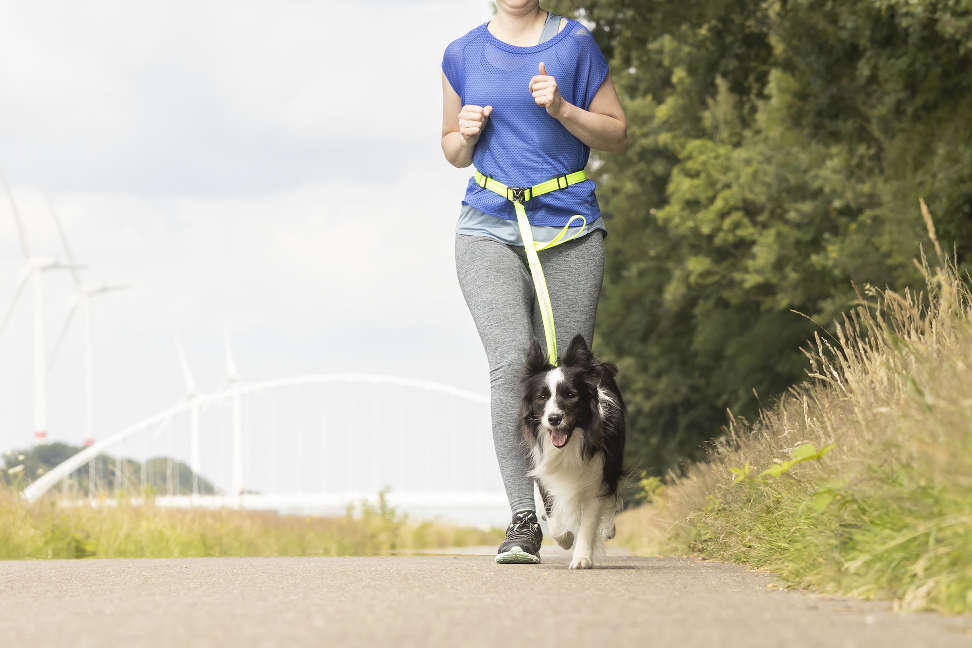 Flamingo Jogging leash with waist belt Diran Fluo yellow