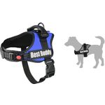  Harness Pluto Blue