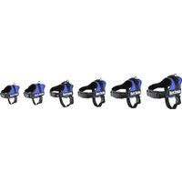 Flamingo Geschirr  Pluto Blau