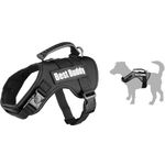 Harness Uranus Black