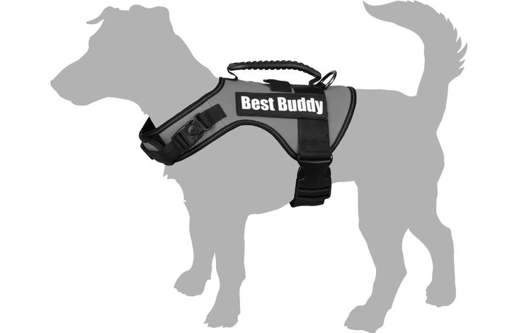 Flamingo Harness Uranus Fluo green