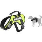 Harness Uranus Fluo green