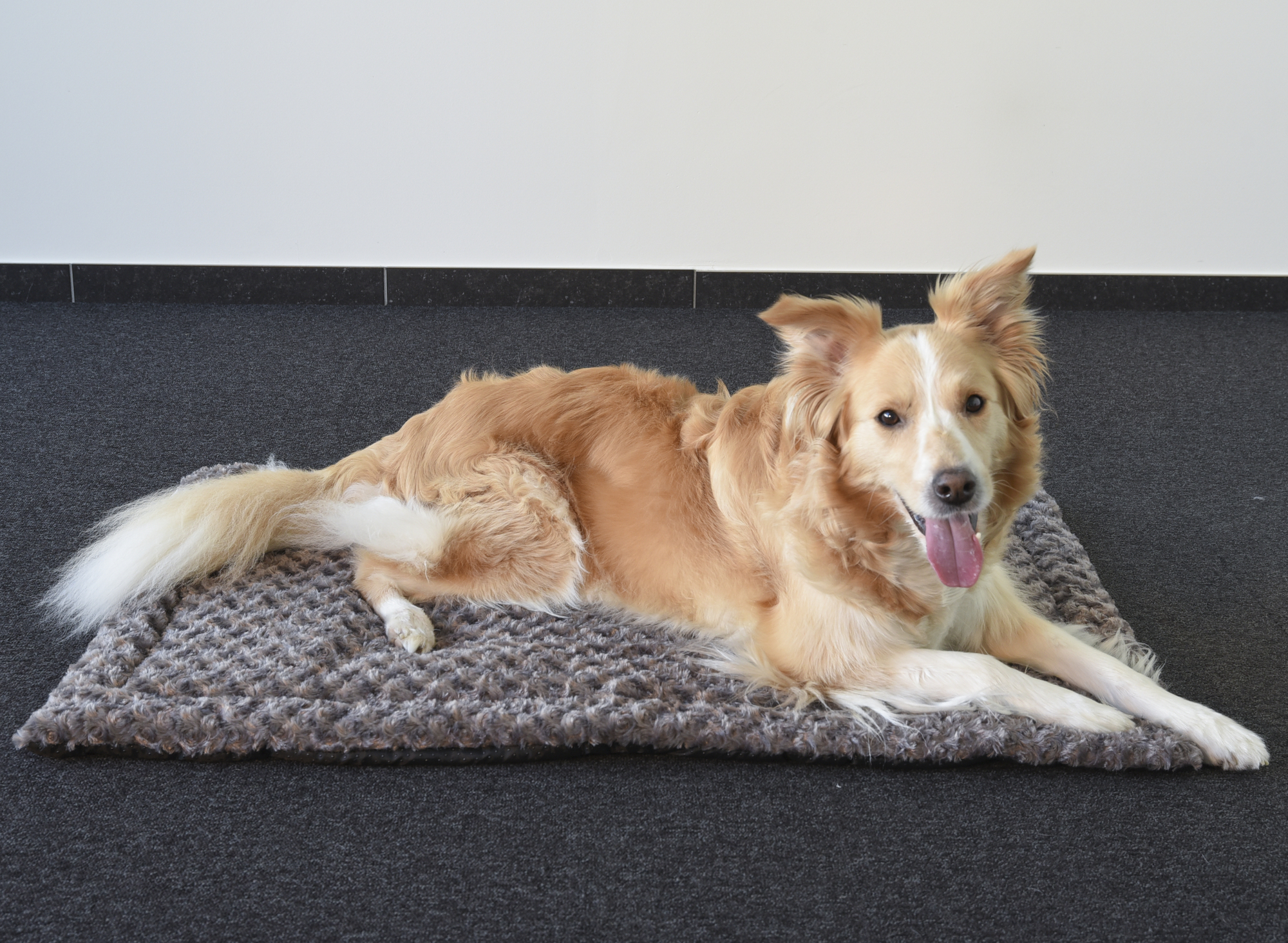 Flamingo Cushion Cuddly Rectangle Taupe