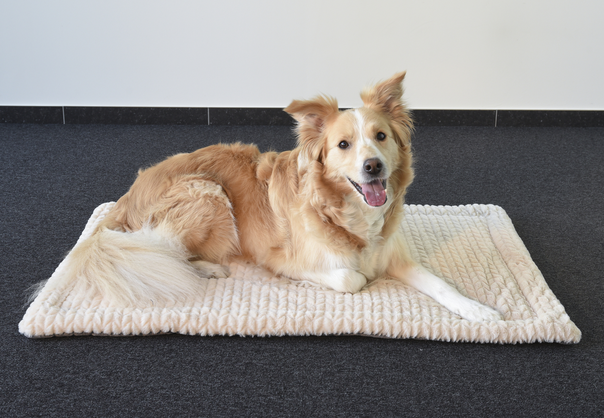 Flamingo Cushion Zupo Rectangle Grey