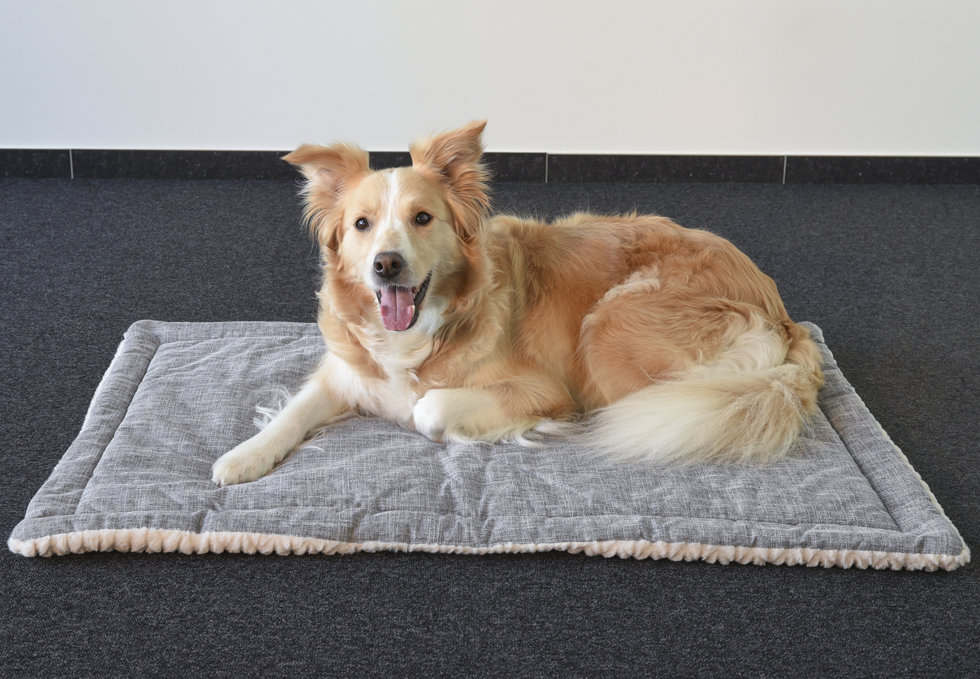 Flamingo Cushion Zupo Rectangle Grey