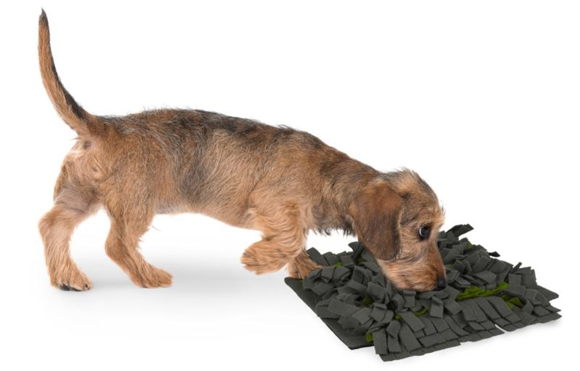 Flamingo Snuffelmat Amigo  Donkergrijs