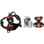 Harness Balou Red