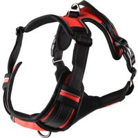 Flamingo Harness Balou Red