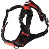  Harness  Balou Red