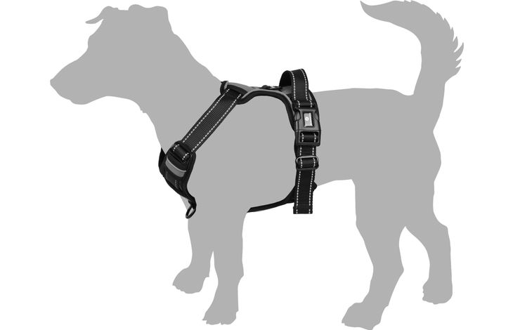 Flamingo Harness Balou Red