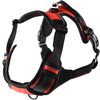  Geschirr   Balou Rot