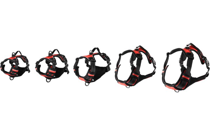 Flamingo Harness Balou Red