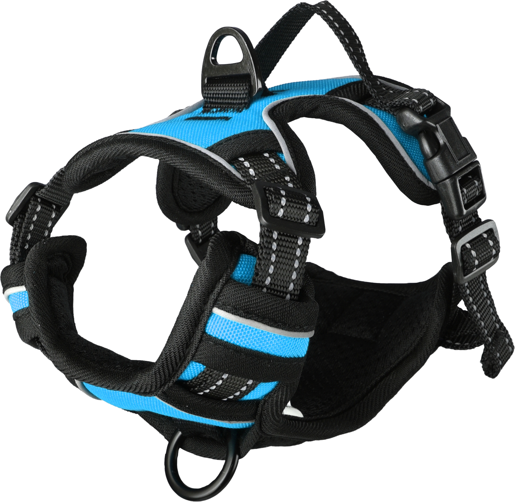 Flamingo Harness Balou Blue