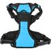  Harnas  Balou Blauw