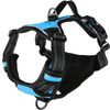 Harnas Balou Blauw