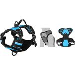 Harness Balou Blue
