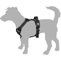 Flamingo Harness Balou Blue