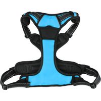 Flamingo Harness Balou Blue