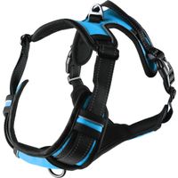 Flamingo Harness Balou Blue