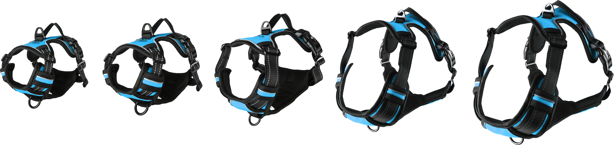 Flamingo Harness Balou Blue