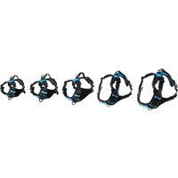 Flamingo Harness Balou Blue