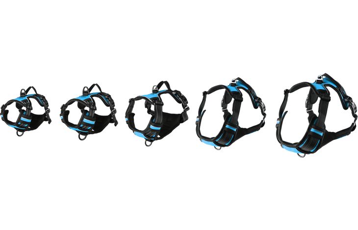 Flamingo Harness Balou Blue