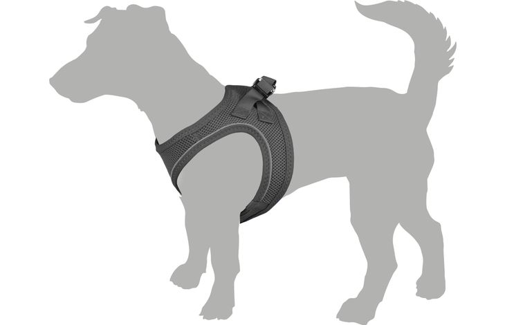 Flamingo Harness Step&Go Bento Pink