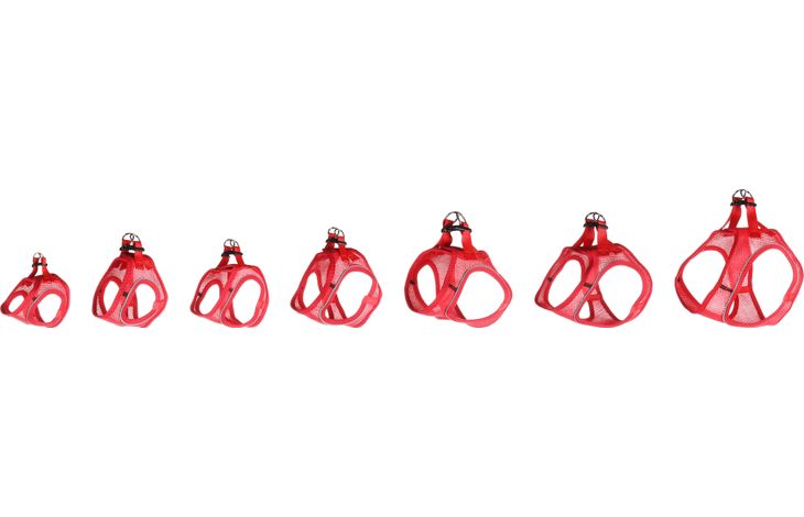 Flamingo Harnas Step&Go Bento Rood