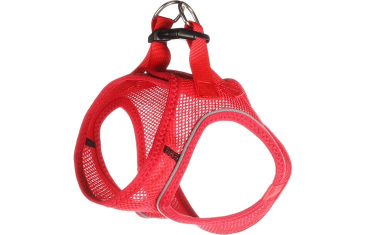 Flamingo Arnés Step&Go Bento Rojo