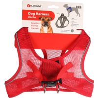 Flamingo Harnas Step&Go Bento Rood