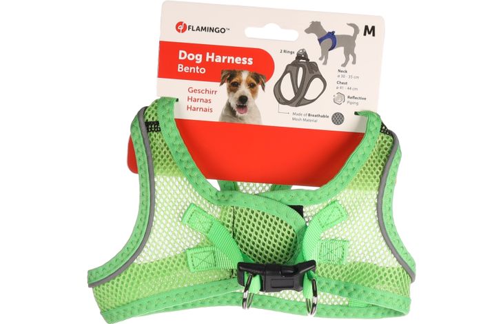 Flamingo Harness Step&Go Bento Green