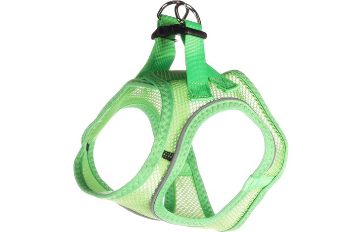 Flamingo Harness Step&Go Bento Green