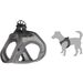 Geschirr  Step&Go Bento Grau
