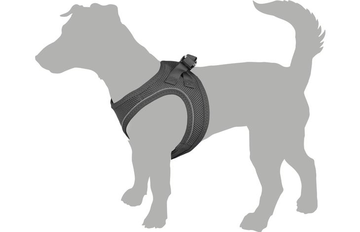 Flamingo Harness Step&Go Bento Grey