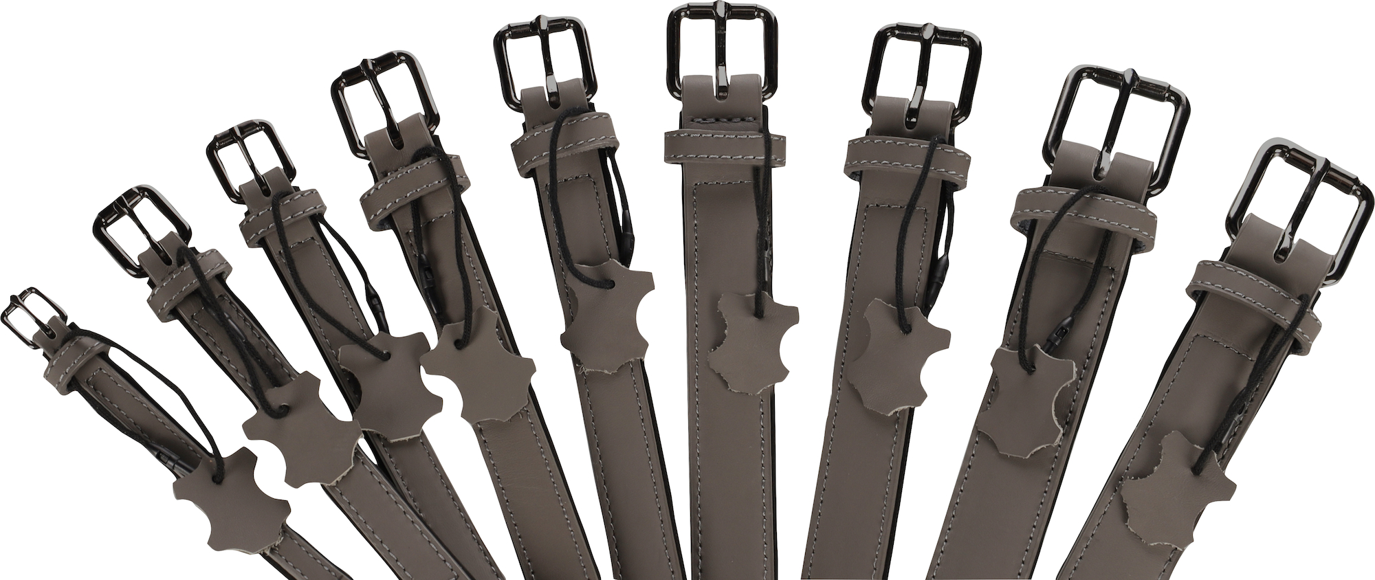 Flamingo Collare Con neoprene Binti Grigio