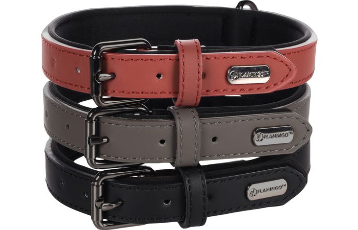 Flamingo Collar With neoprene Binti Black