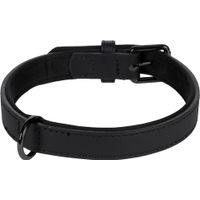 Flamingo Halsband Mit Neopren Binti Schwarz