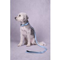 Flamingo Halsband met neopreen Leza Blauw