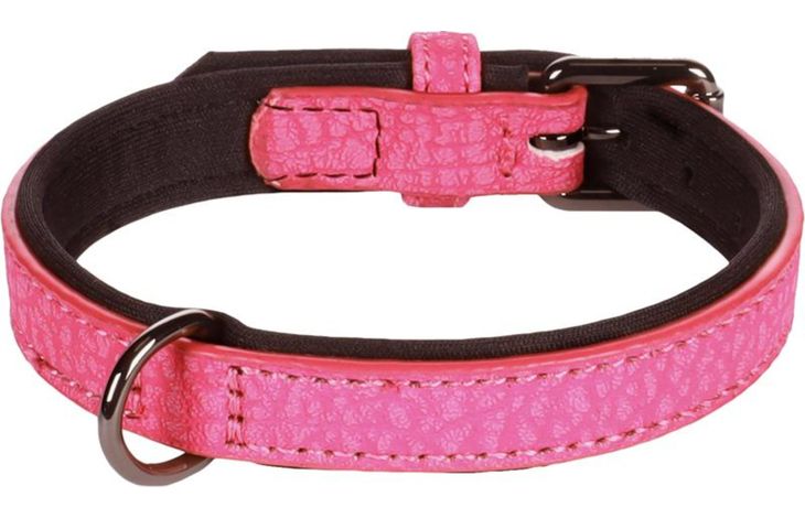Flamingo Collar With neoprene Leza Pink